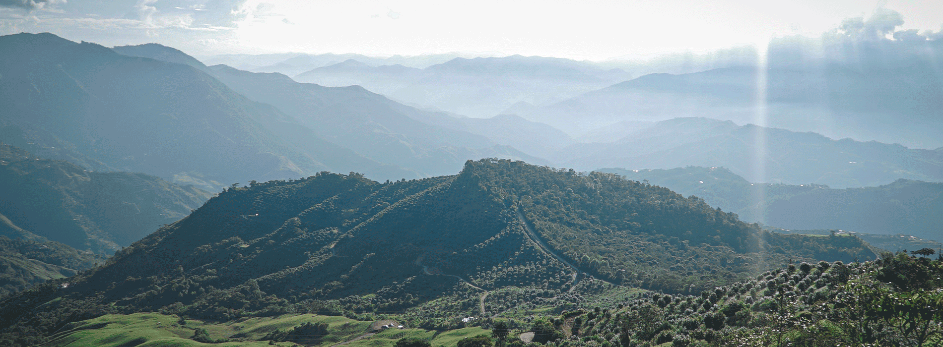 Energy Auction: Colombia is a strong destination for investment in renewable energies