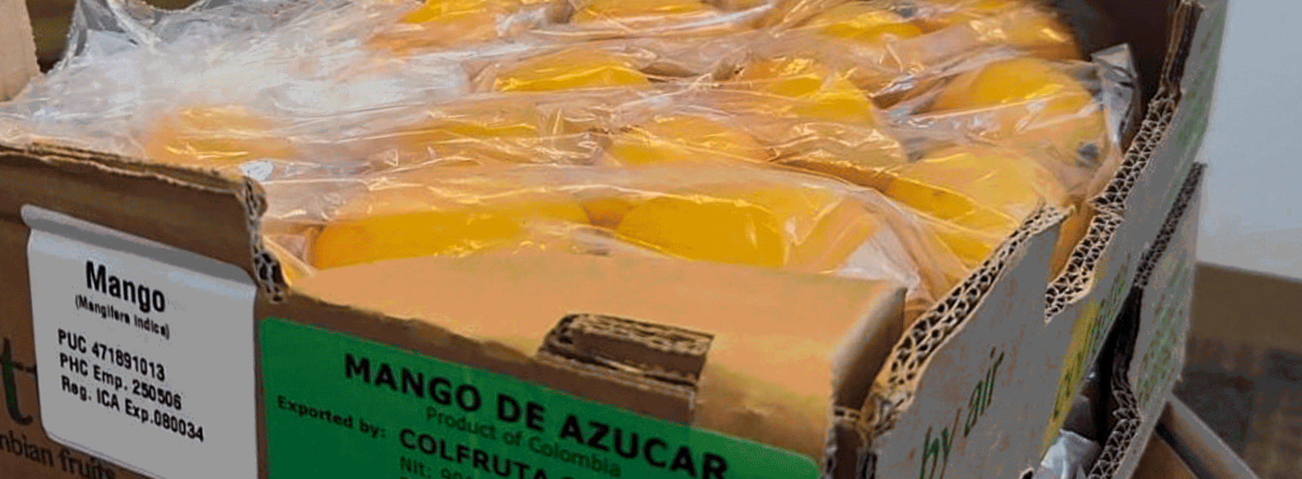 Colombian Sugar Mangoes Are Now Available in the United States