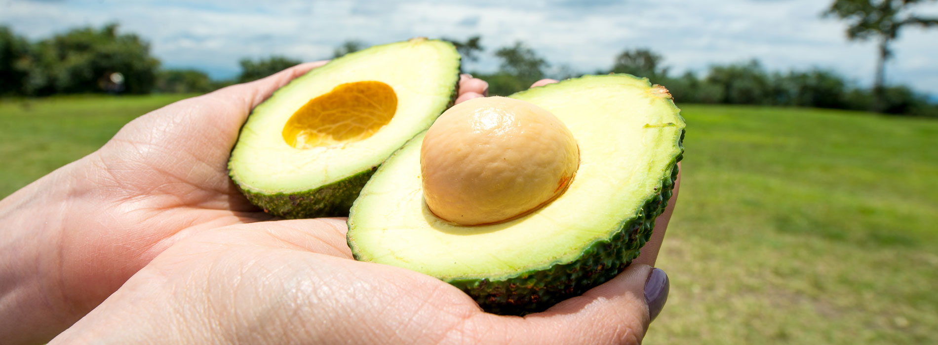 Colombia Arrives at SIAL with a Wide Offer of Coffee, Fruits, Panela and Bakery Colombia Arrives at SIAL with a Wide Offer of Coffee, Fruits, Panela and Bakery