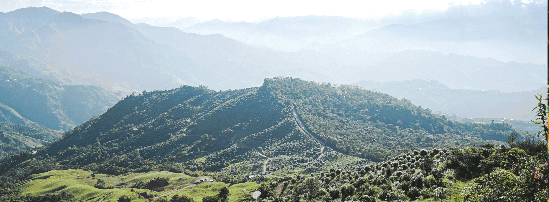 Colombia: Committed to Sustainable Development