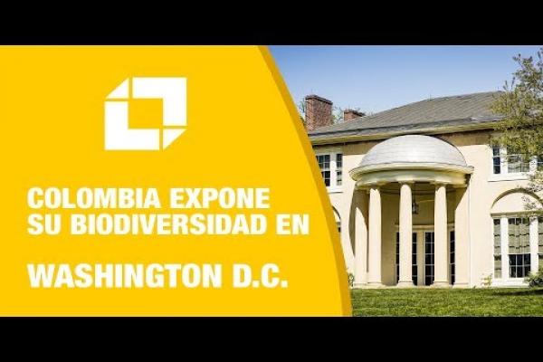 Embedded thumbnail