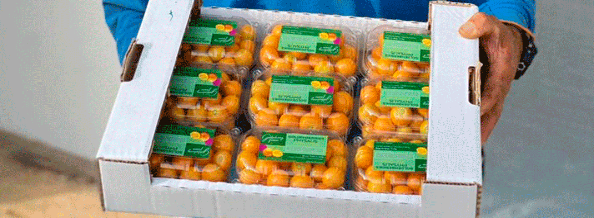 Two Successful Stories of Agri-Business Foreign Investment with Social Impact