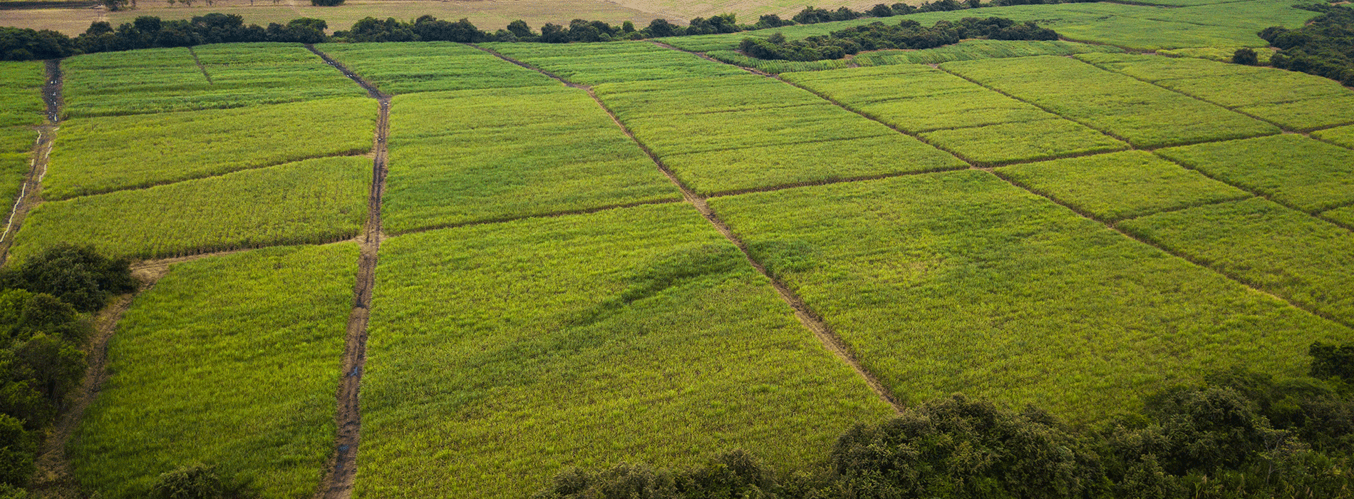 United States: A Key Investment Ally for Colombia and Valle del Cauca